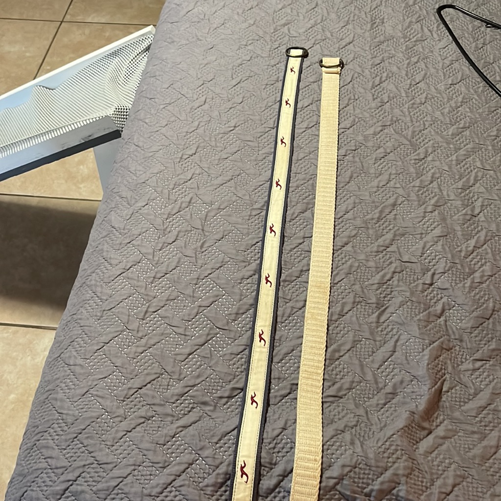 Hollister Belts